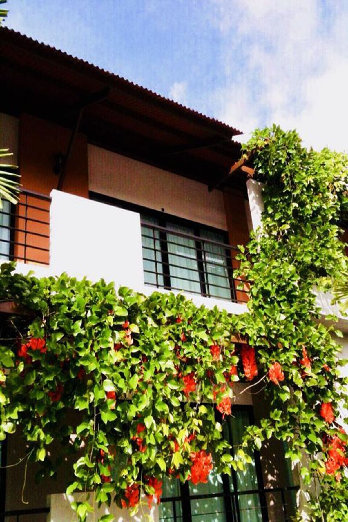 Wassana Sitdharma Guesthouse ترانغ المظهر الخارجي الصورة