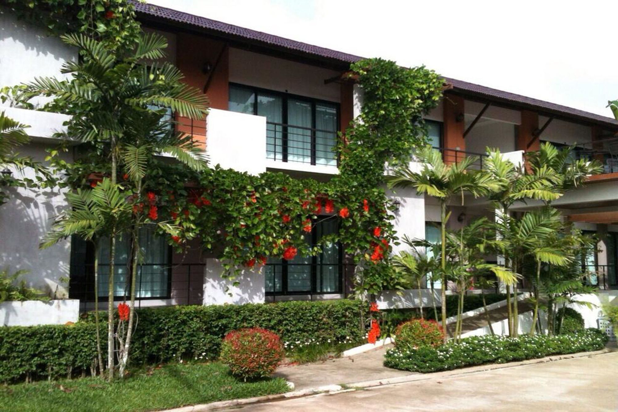 Wassana Sitdharma Guesthouse ترانغ المظهر الخارجي الصورة