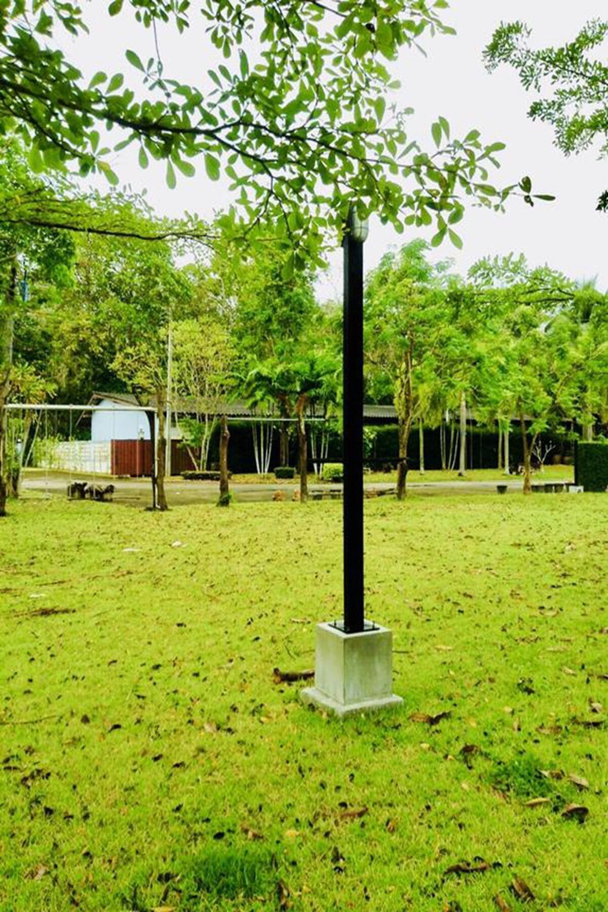 Wassana Sitdharma Guesthouse ترانغ المظهر الخارجي الصورة